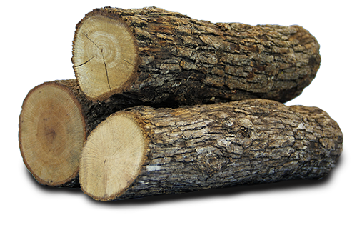 logs